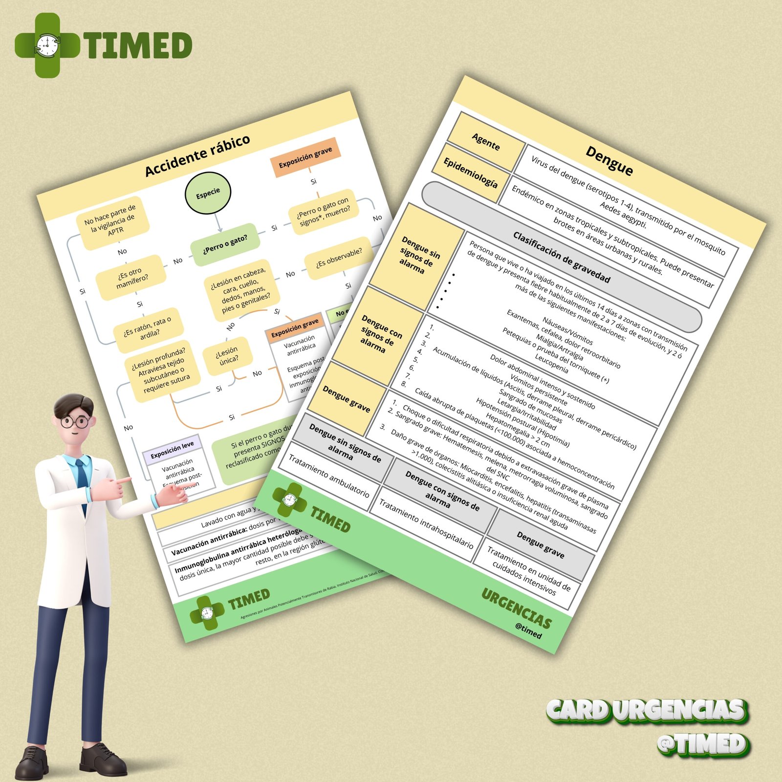 card accidente rábico dengue (2)